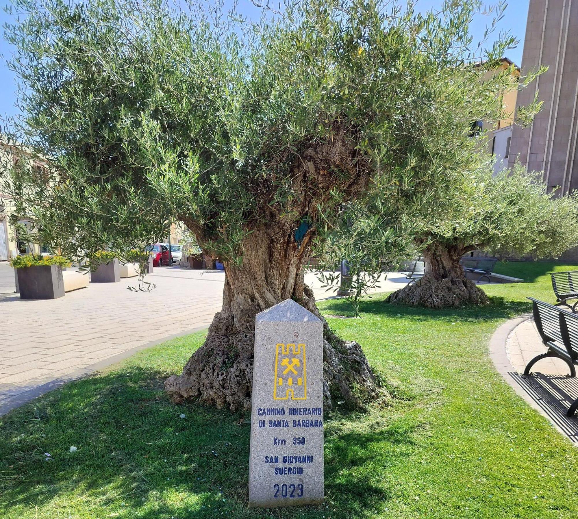شقة L'Oasi Di Angela, Cin It11163C2000Q5074 San Giovanni Suèrgiu المظهر الخارجي الصورة
